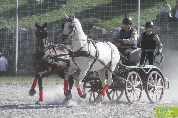 Exhibición de Enganches en el XXII Día del Deporte